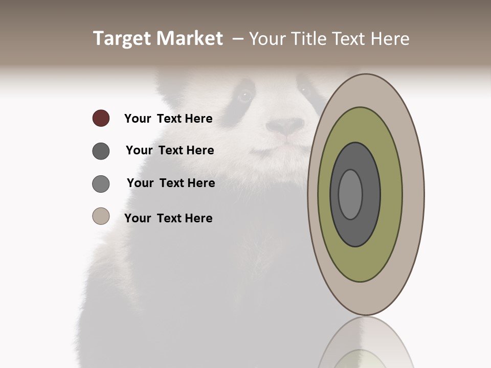 Black Bear Cub Nobody PowerPoint Template