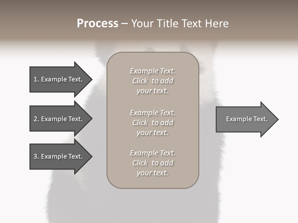 Black Bear Cub Nobody PowerPoint Template