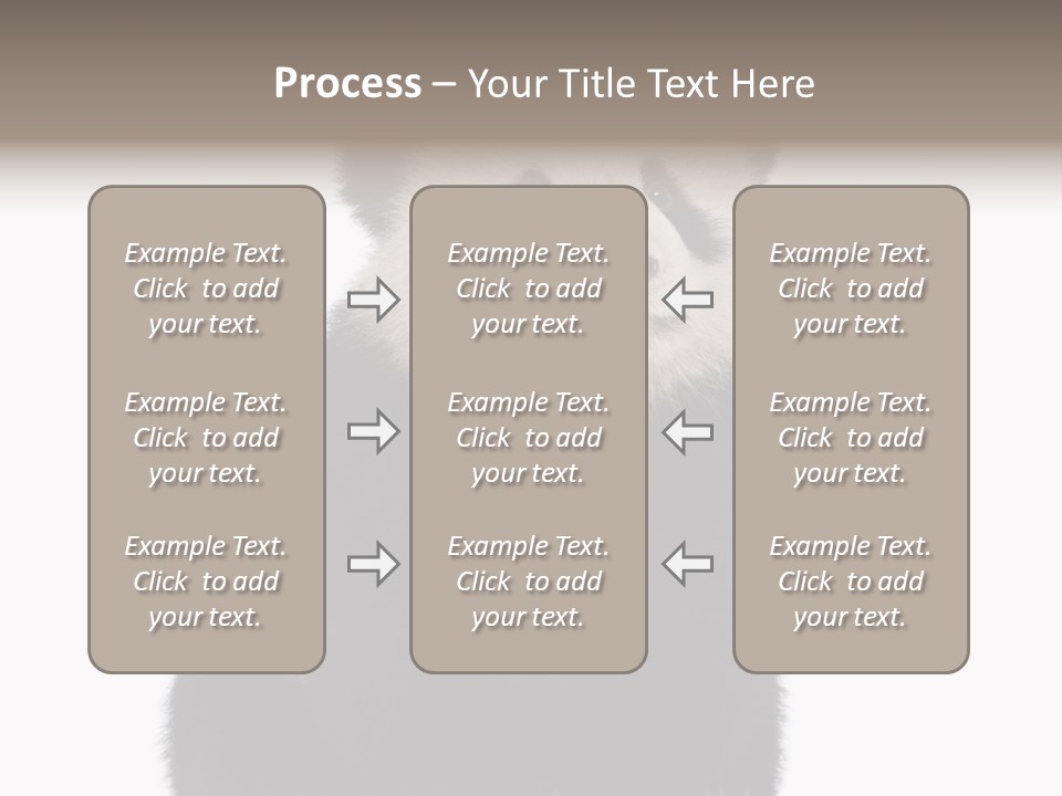 Black Bear Cub Nobody PowerPoint Template