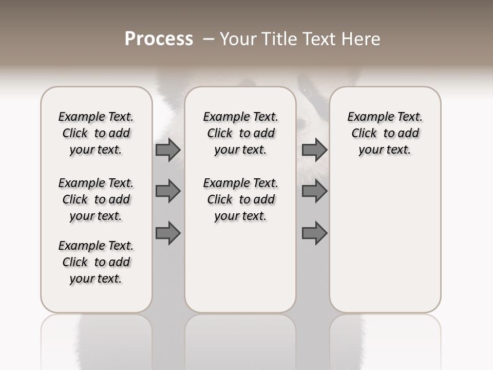 Black Bear Cub Nobody PowerPoint Template