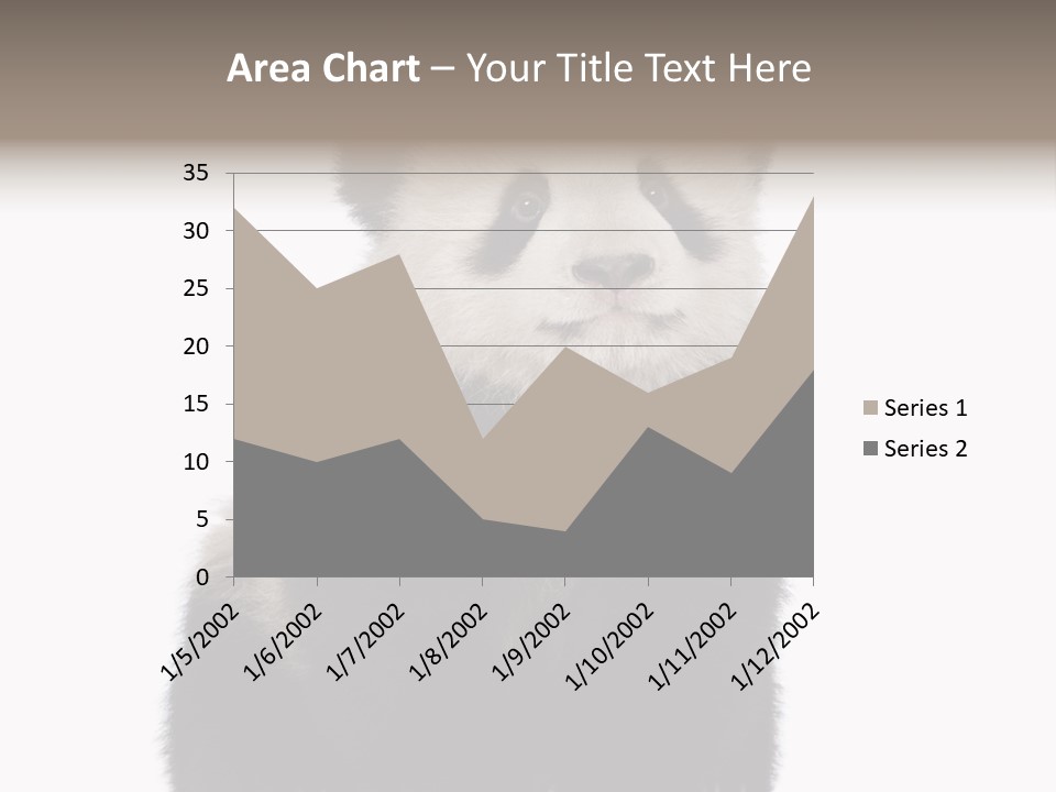Black Bear Cub Nobody PowerPoint Template