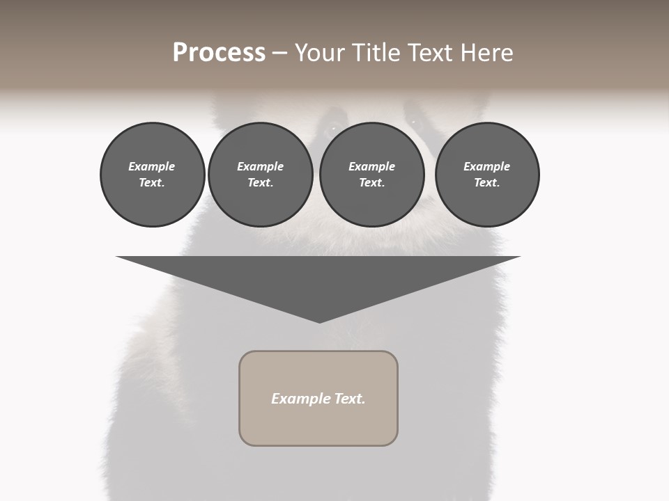 Black Bear Cub Nobody PowerPoint Template