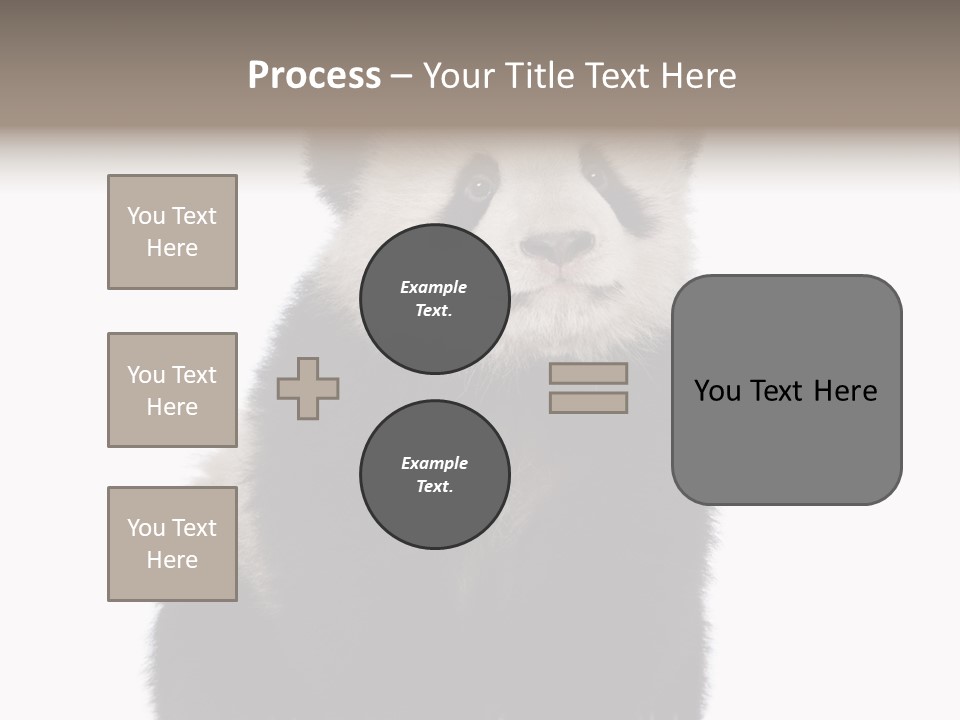 Black Bear Cub Nobody PowerPoint Template