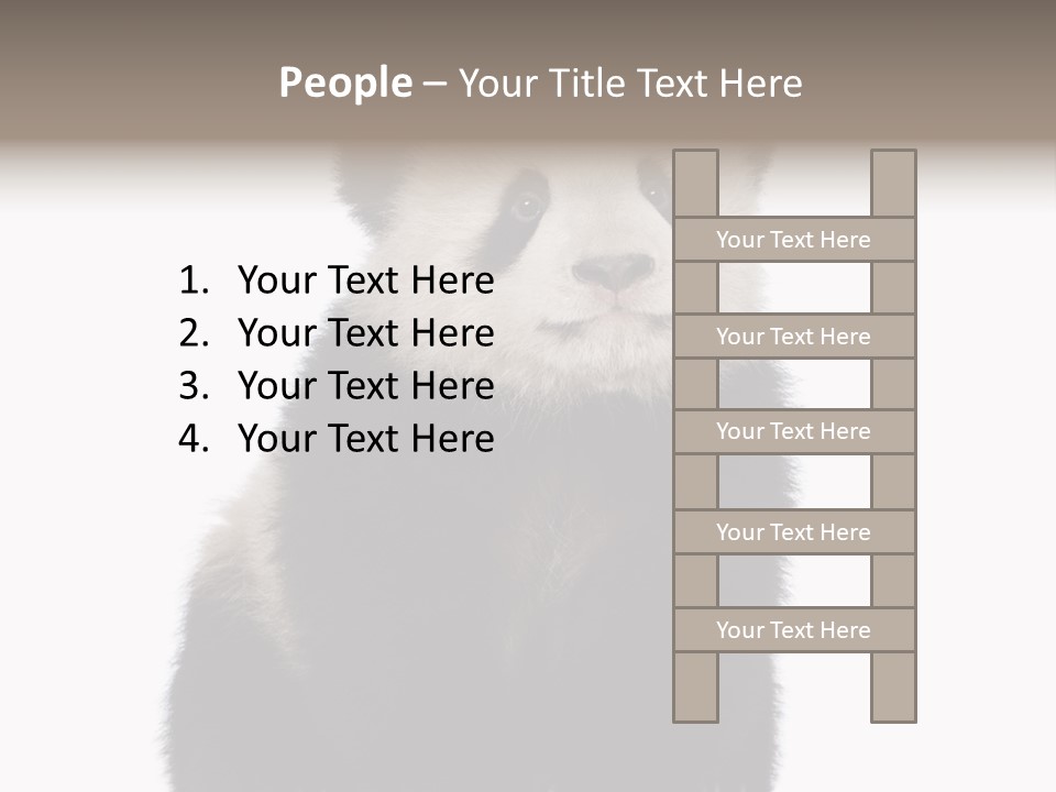 Black Bear Cub Nobody PowerPoint Template