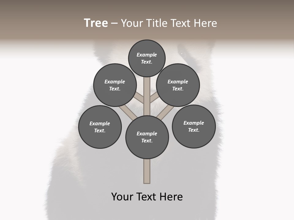 Black Bear Cub Nobody PowerPoint Template