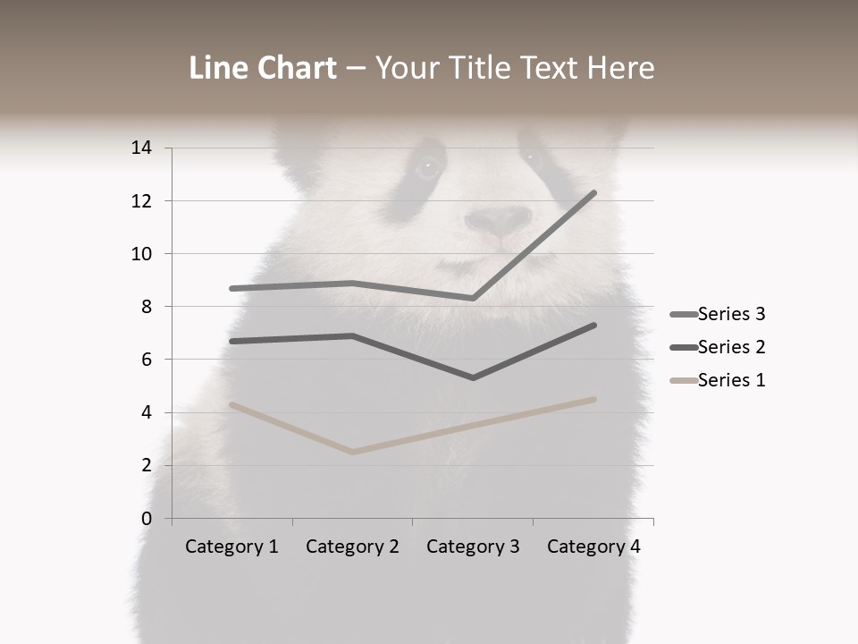 Black Bear Cub Nobody PowerPoint Template