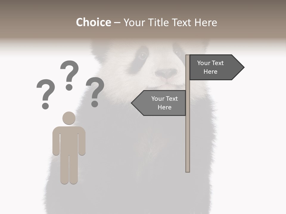 Black Bear Cub Nobody PowerPoint Template