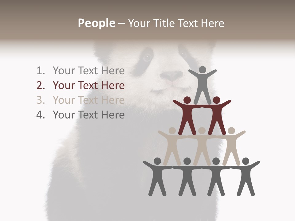 Black Bear Cub Nobody PowerPoint Template