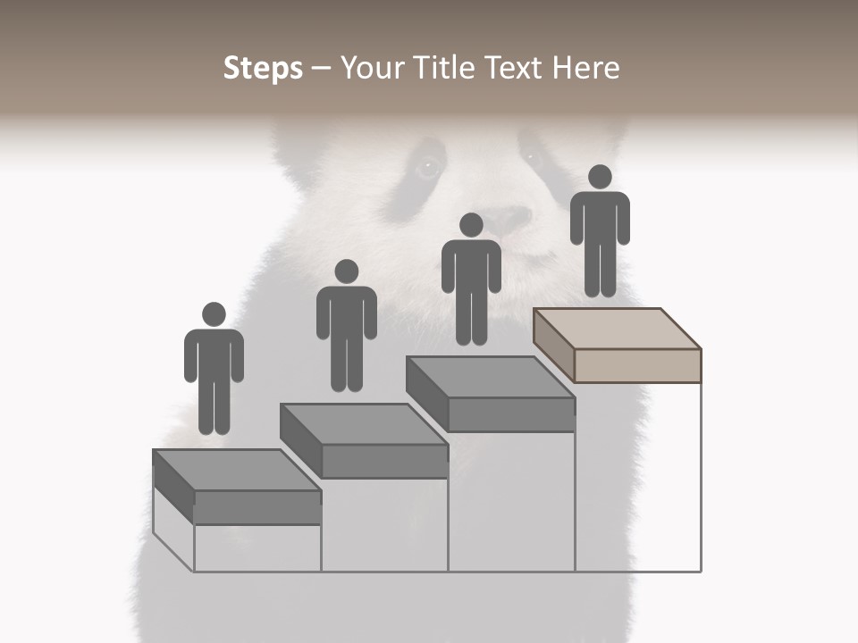 Black Bear Cub Nobody PowerPoint Template