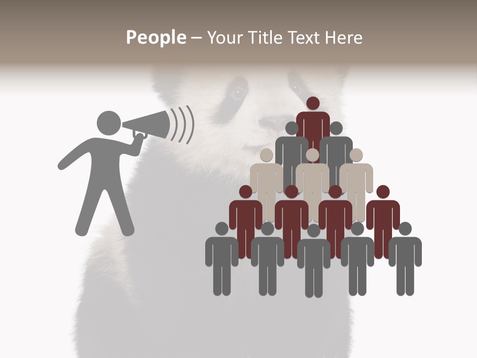 Black Bear Cub Nobody PowerPoint Template