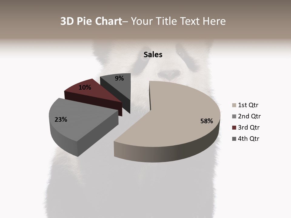 Black Bear Cub Nobody PowerPoint Template