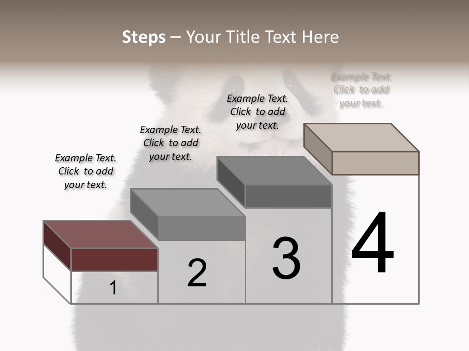 Black Bear Cub Nobody PowerPoint Template