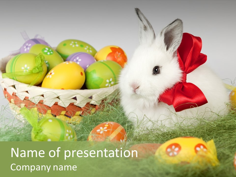 Rabbit Furry Rattan PowerPoint Template