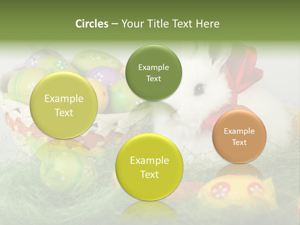 Rabbit Furry Rattan PowerPoint Template