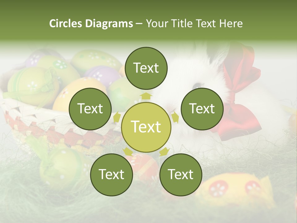 Rabbit Furry Rattan PowerPoint Template