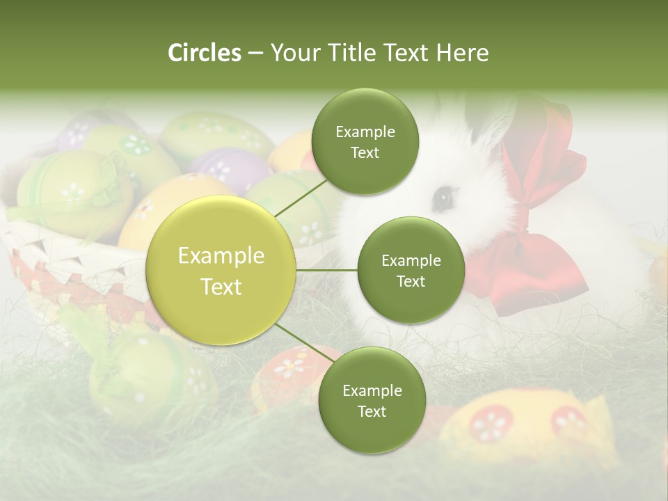 Rabbit Furry Rattan PowerPoint Template