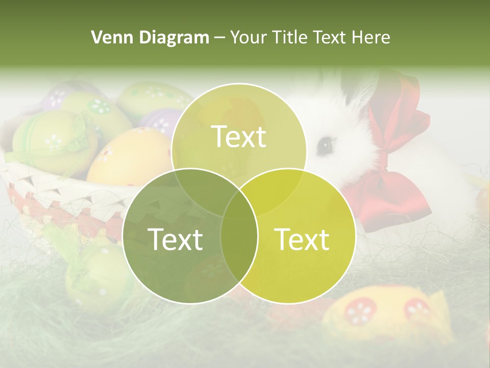 Rabbit Furry Rattan PowerPoint Template