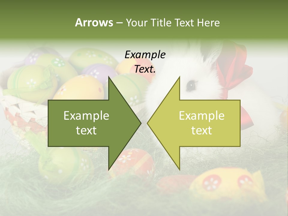 Rabbit Furry Rattan PowerPoint Template