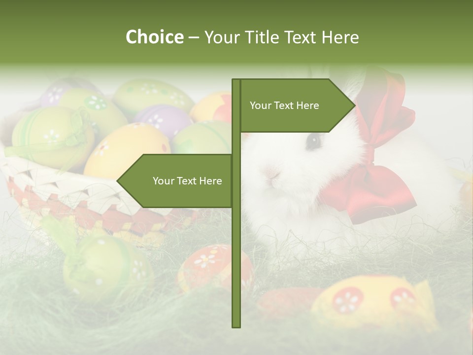 Rabbit Furry Rattan PowerPoint Template