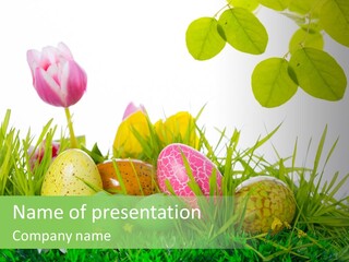 Drau Blumen Bunte PowerPoint Template