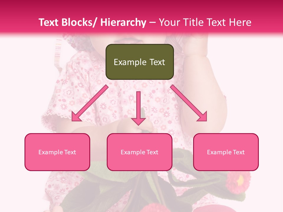 Newborn Freude Pink PowerPoint Template