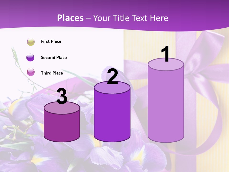 Ribbon Bow Present PowerPoint Template