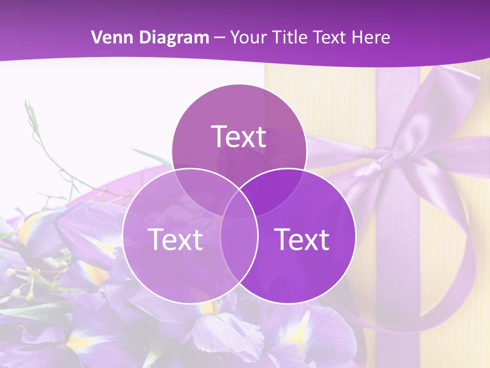 Ribbon Bow Present PowerPoint Template