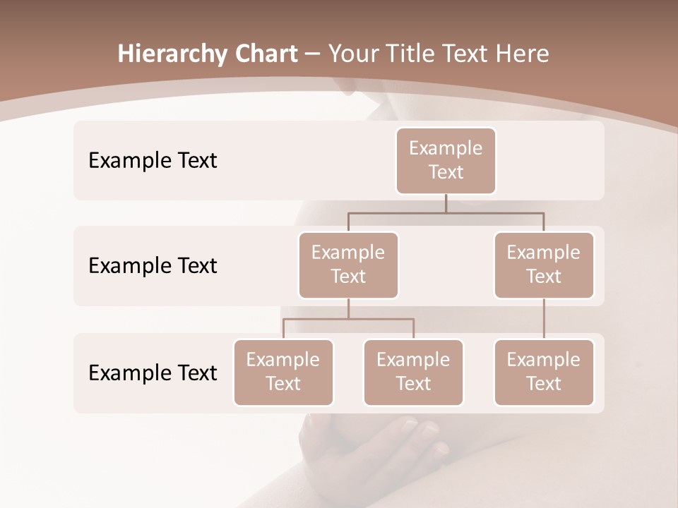 Embarazo Cari Nacer PowerPoint Template