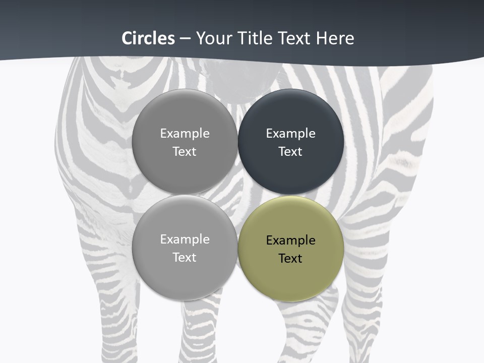 Savanna Photo Front View PowerPoint Template