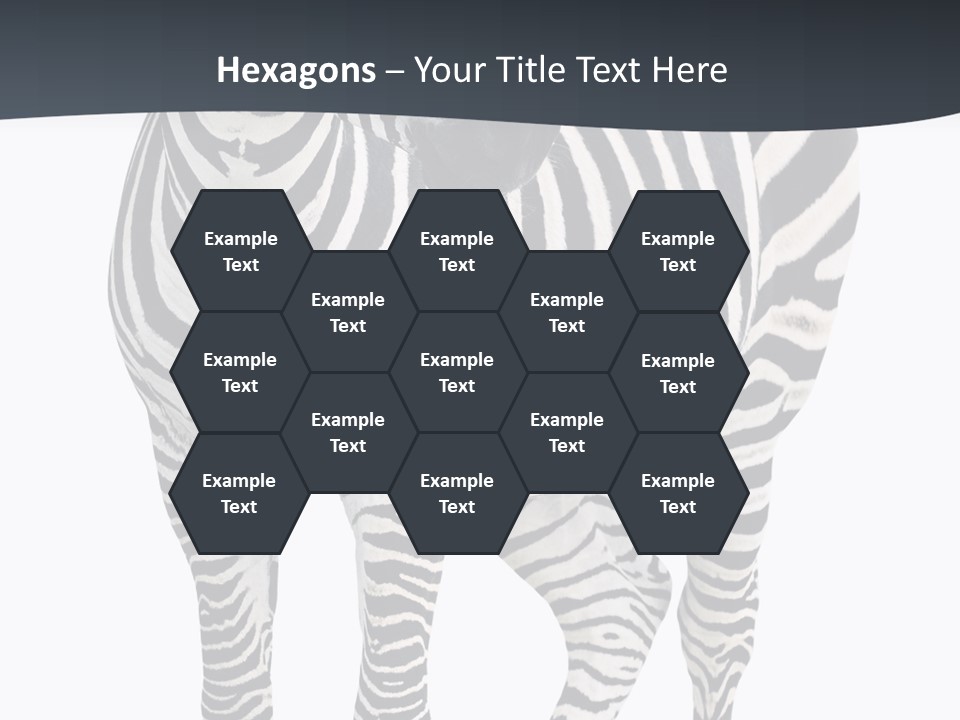 Savanna Photo Front View PowerPoint Template