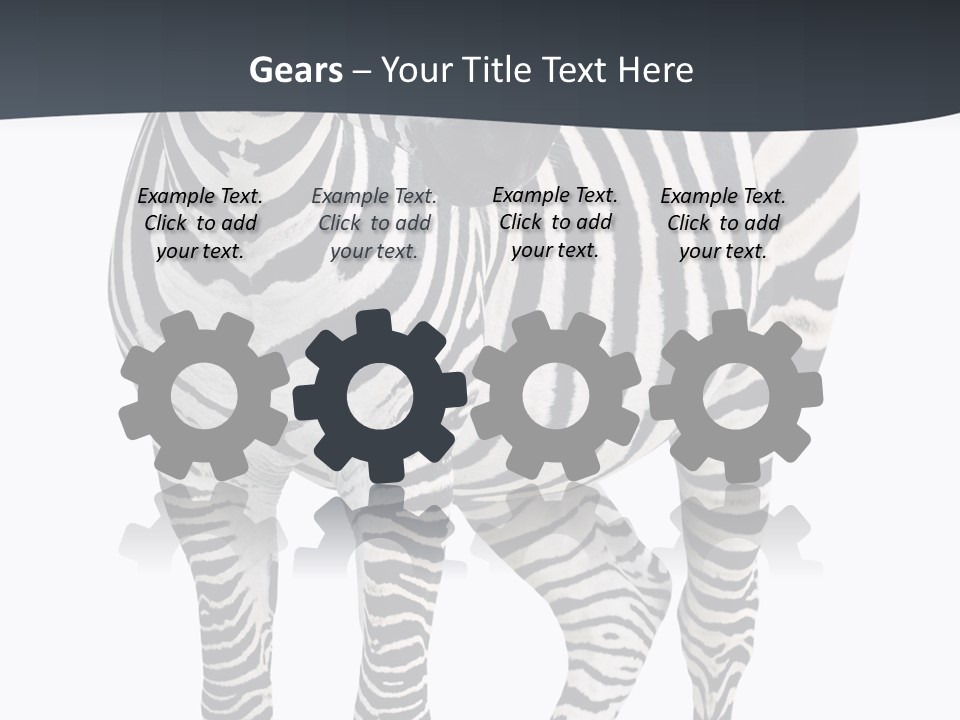 Savanna Photo Front View PowerPoint Template