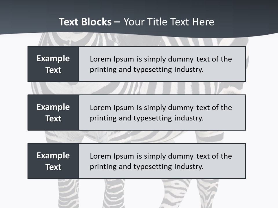 Savanna Photo Front View PowerPoint Template