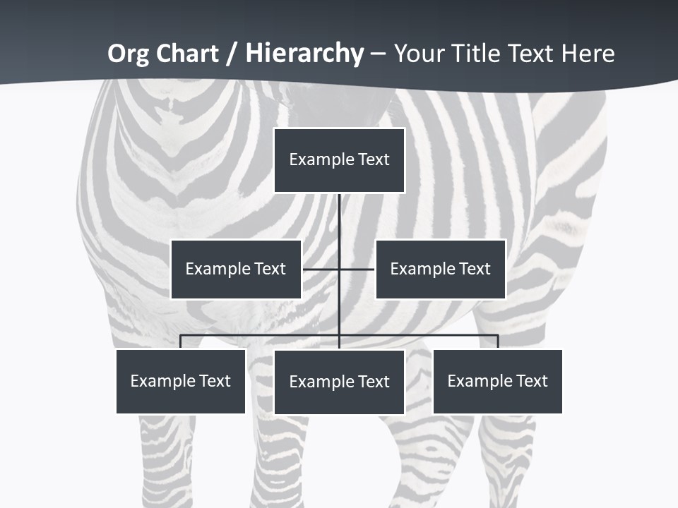 Savanna Photo Front View PowerPoint Template