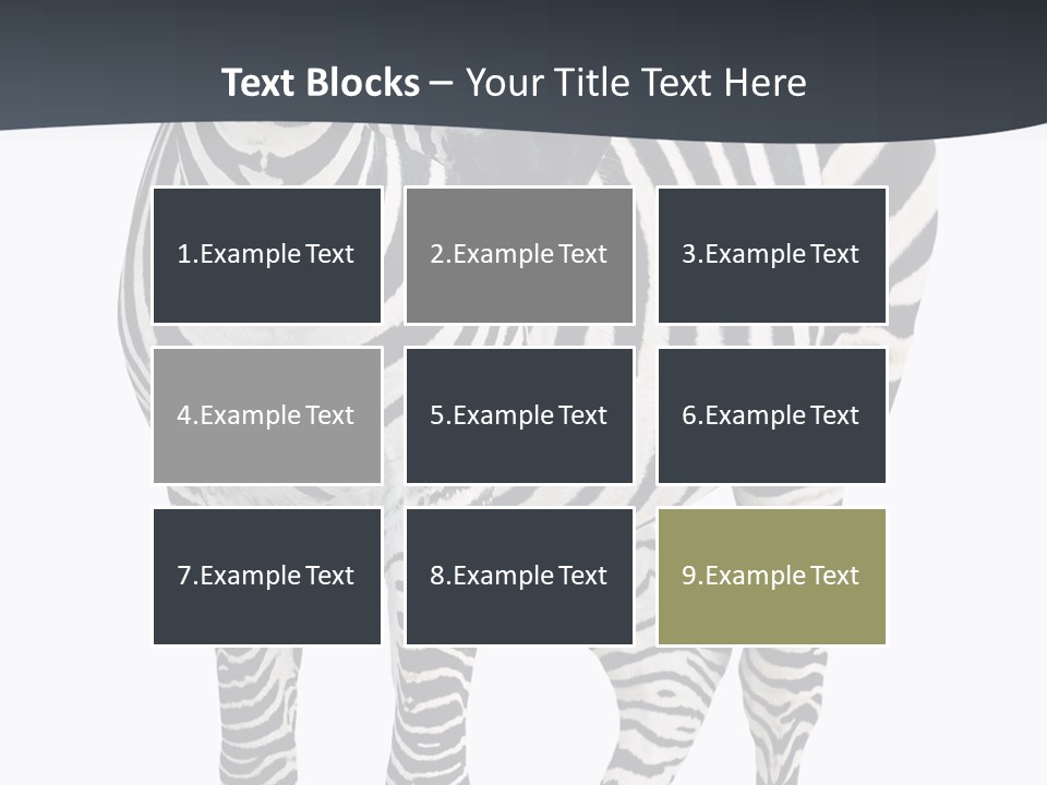 Savanna Photo Front View PowerPoint Template
