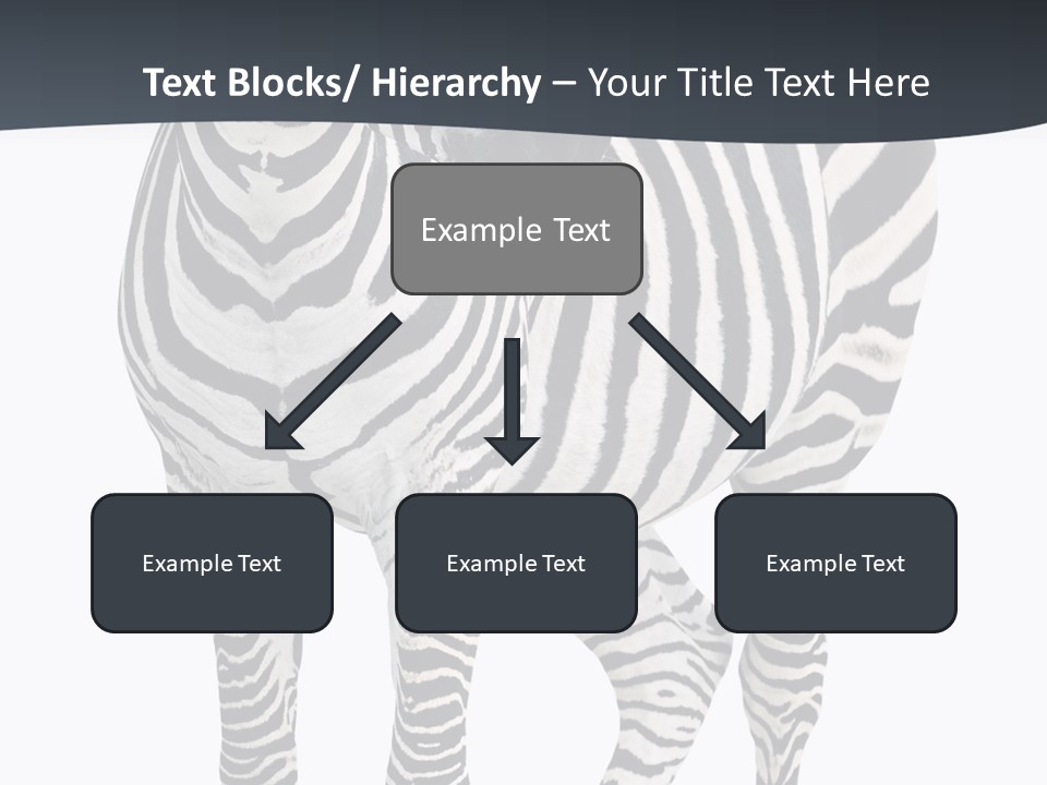 Savanna Photo Front View PowerPoint Template