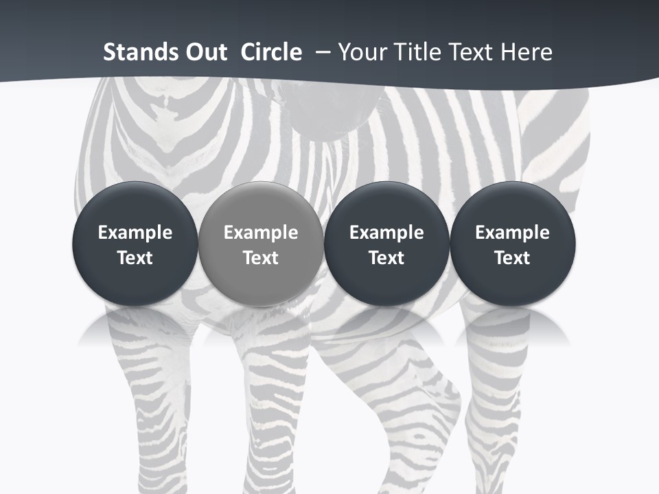 Savanna Photo Front View PowerPoint Template