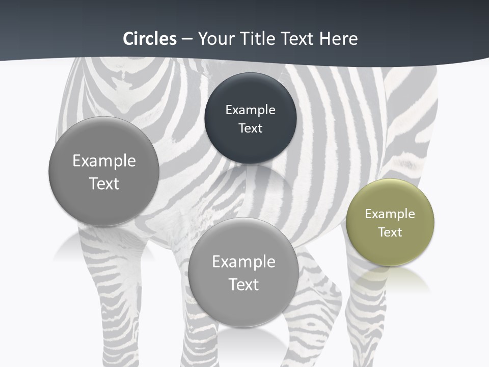 Savanna Photo Front View PowerPoint Template