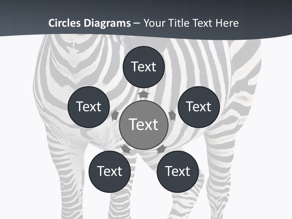 Savanna Photo Front View PowerPoint Template