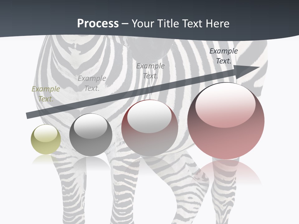 Savanna Photo Front View PowerPoint Template