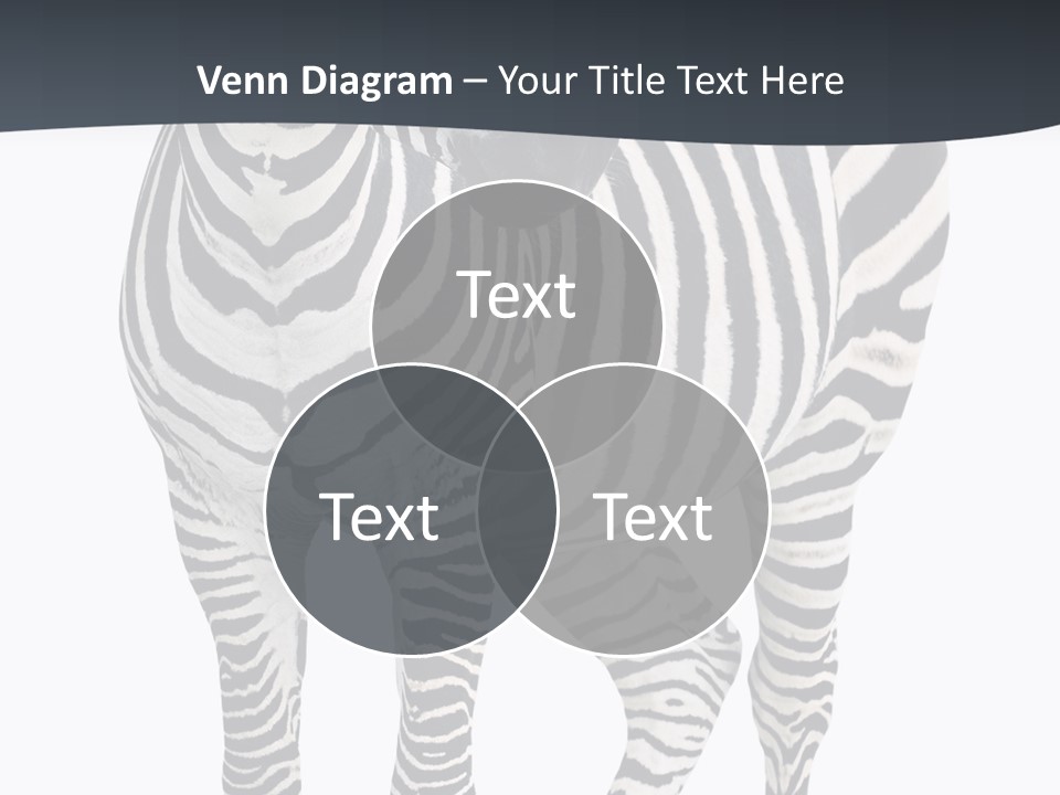 Savanna Photo Front View PowerPoint Template