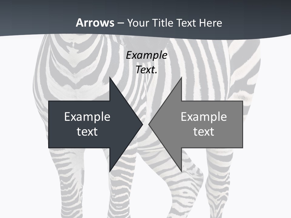 Savanna Photo Front View PowerPoint Template