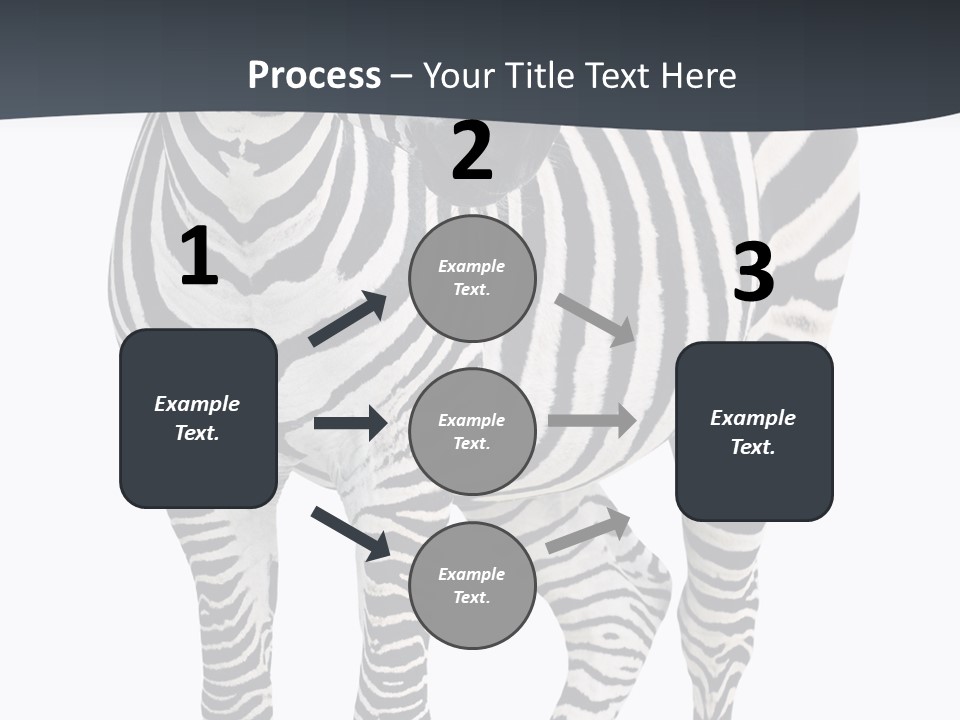 Savanna Photo Front View PowerPoint Template