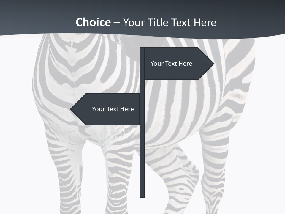 Savanna Photo Front View PowerPoint Template