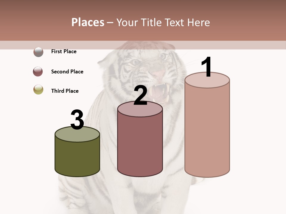 Fur Severe Female PowerPoint Template