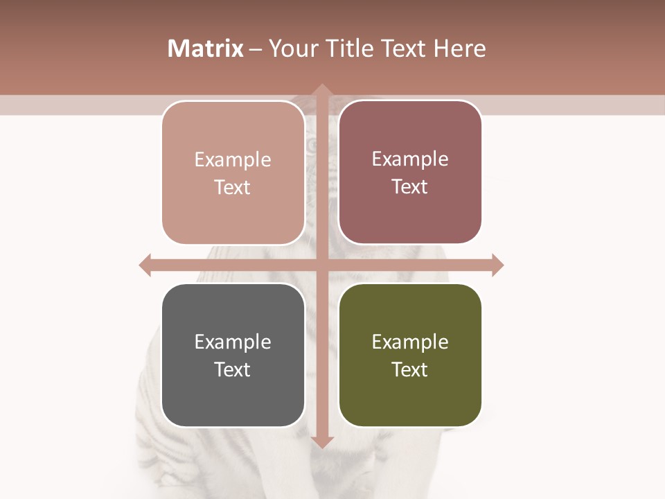 Fur Severe Female PowerPoint Template