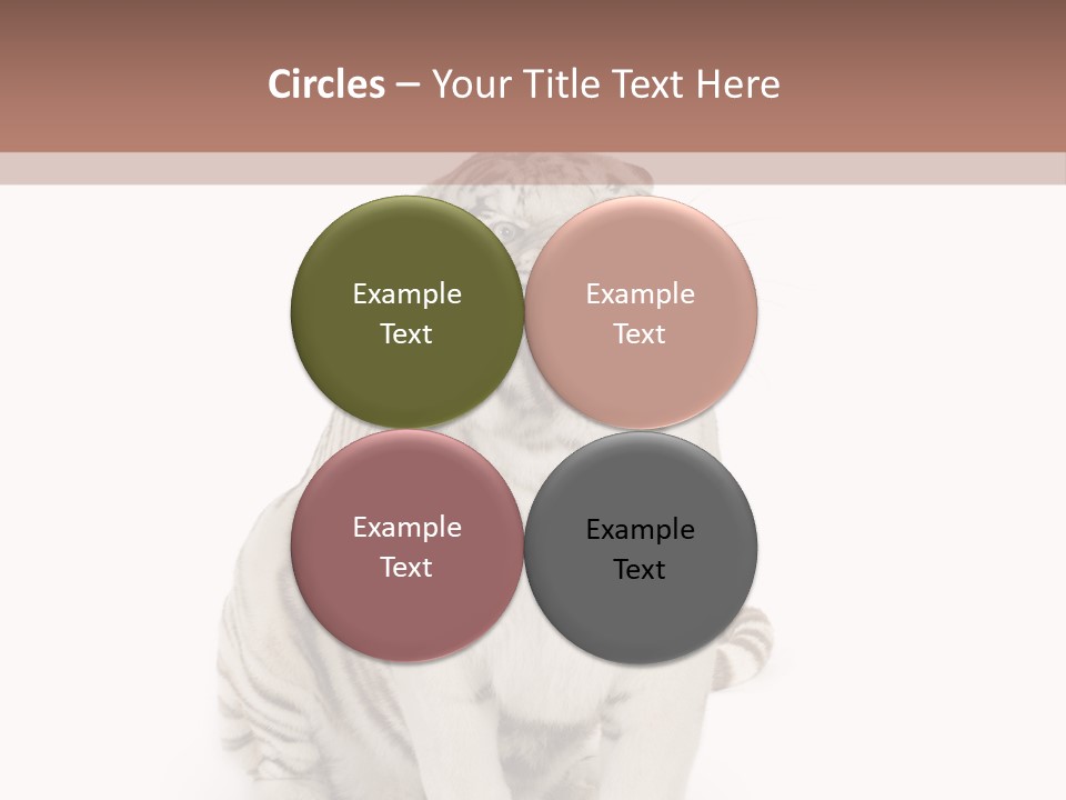 Fur Severe Female PowerPoint Template