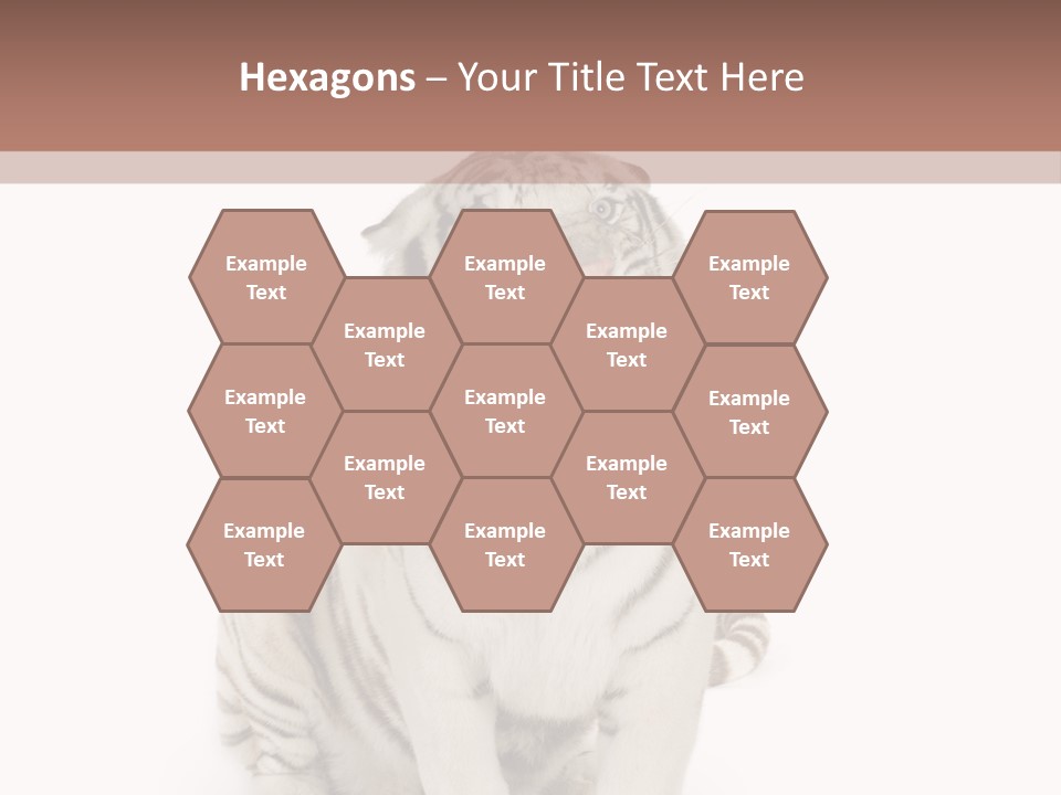 Fur Severe Female PowerPoint Template