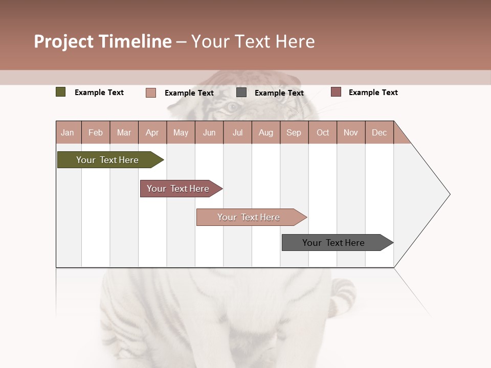 Fur Severe Female PowerPoint Template