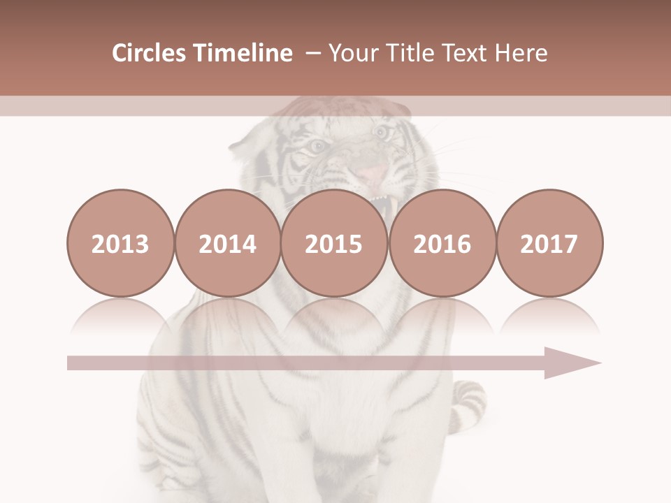 Fur Severe Female PowerPoint Template