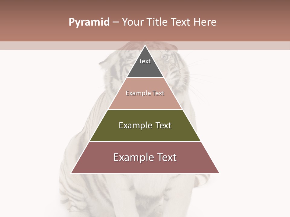 Fur Severe Female PowerPoint Template